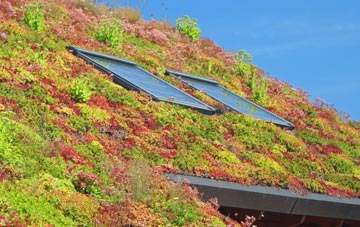 Grindsbrook Booth living roof systems