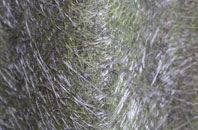 Grindsbrook Booth fibreglass roof work